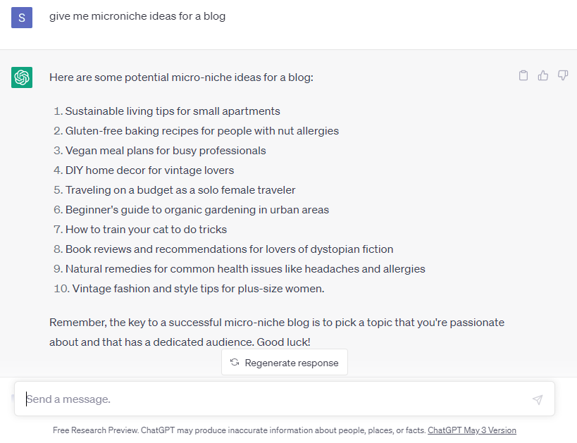 ChatGPT screen, micro-niche blog ideas