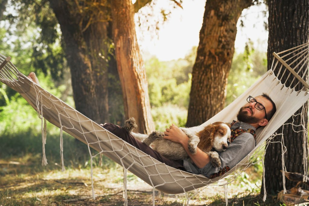 vacation, person resting in a hammock with his dog, address burnout signs