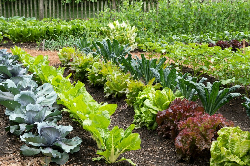 how to make money gardening, make money with your garden